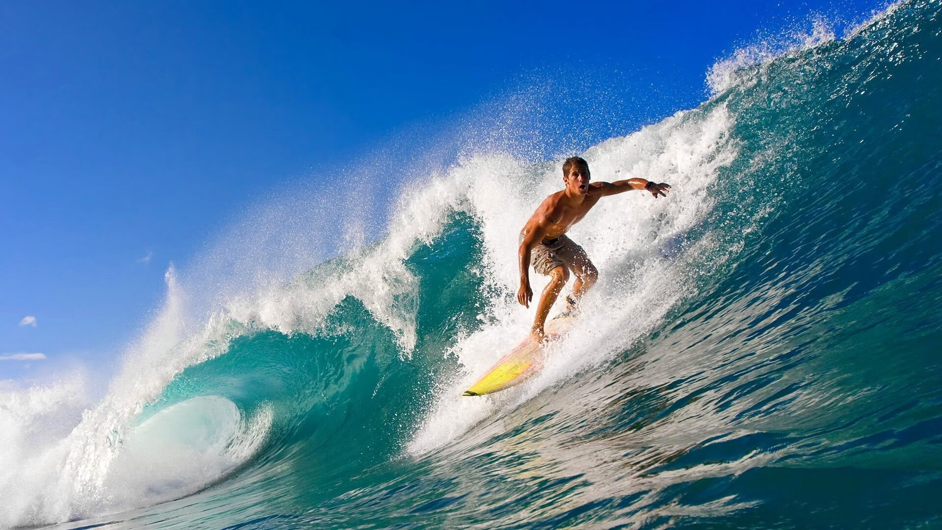 期待下一战：双方都表示希望再战，争夺更高荣誉！，期待明年再战